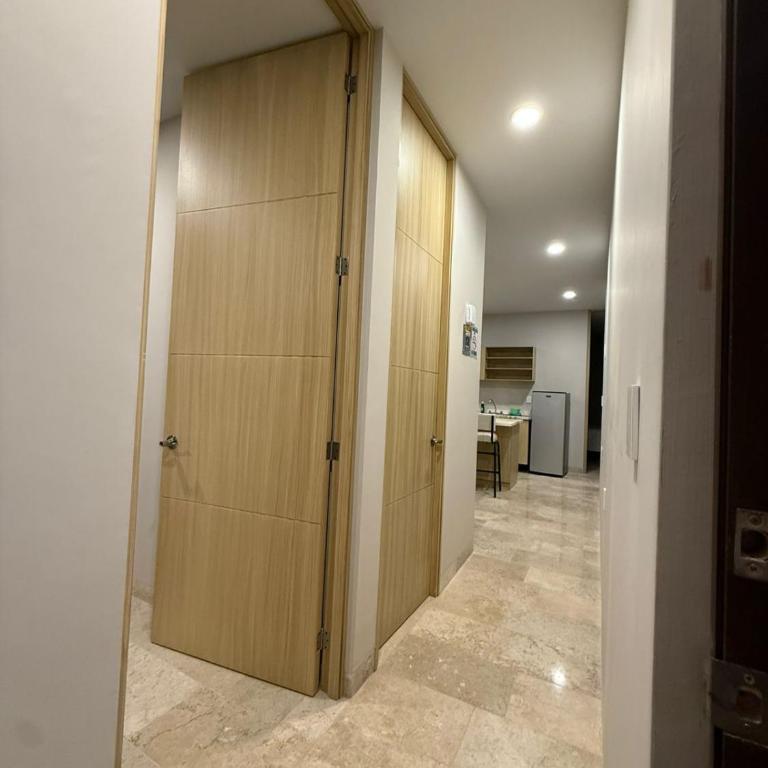 Departamentos paseo imperial san Miguel de Allende - One-Bedroom Apartment - 12