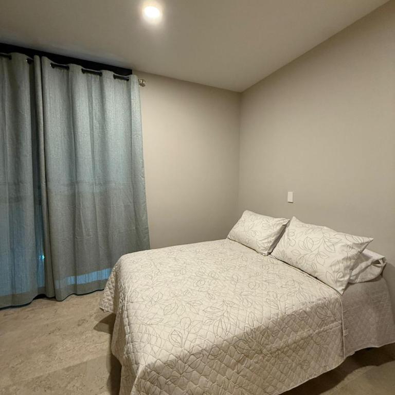 Departamentos paseo imperial san Miguel de Allende - One-Bedroom Apartment - 16