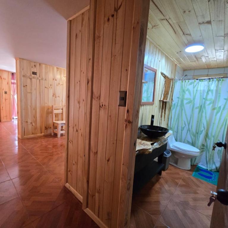 Hostal Aves del Sur Coñaripe - Family Room - 1
