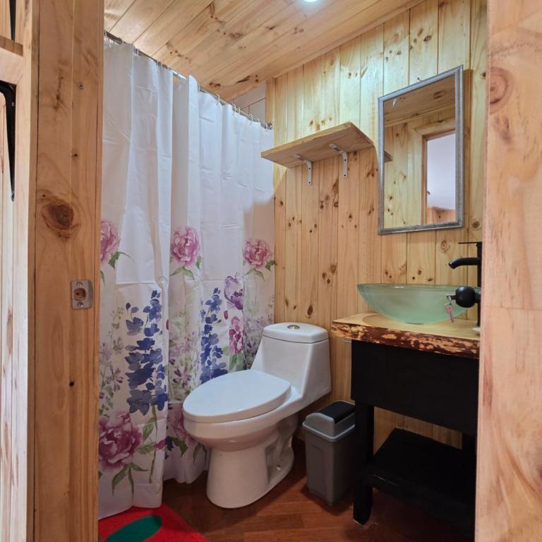 Hostal Aves del Sur Coñaripe - Triple Room - 3