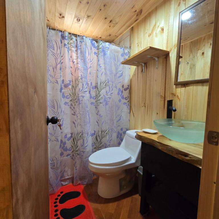Hostal Aves del Sur Coñaripe - Quadruple Room - 2