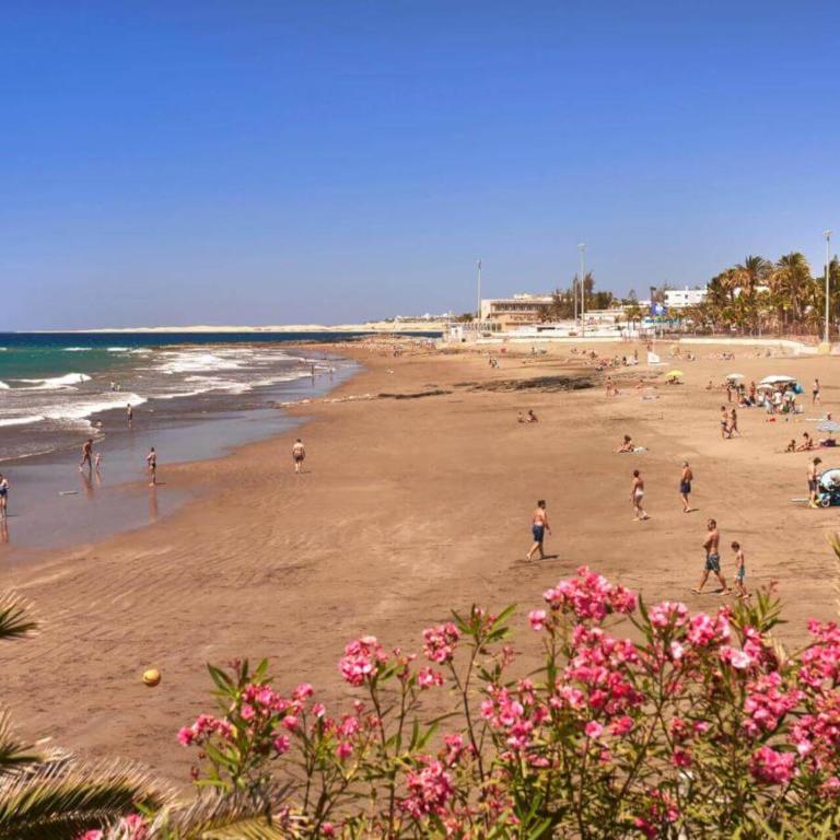 Las Flores tres - One-Bedroom Apartment - 9