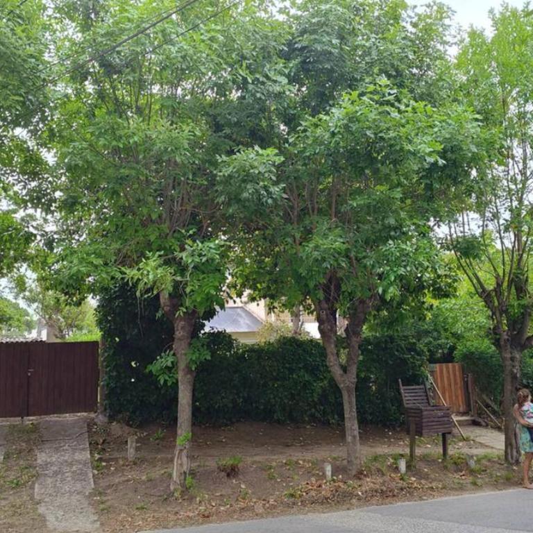 Lala Gesell Center 3 - One-Bedroom Apartment - 6