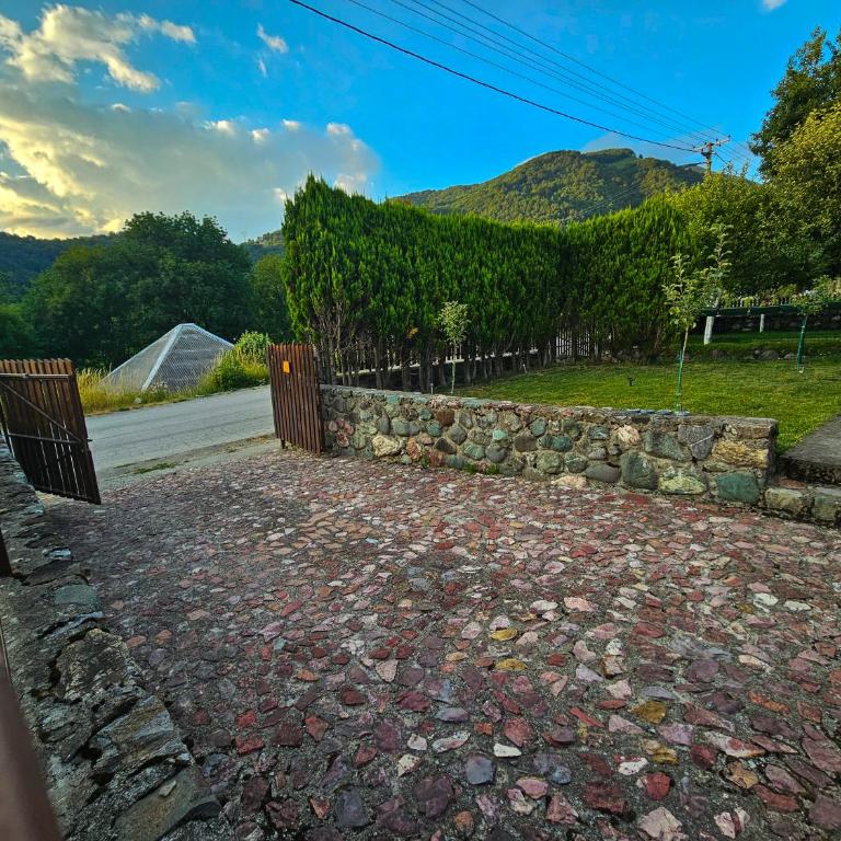Vila Sreća - Kolašin - Vila sa 3 Spavaće Sobe - 12