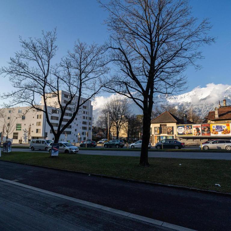 Alps Studio - Apartment mit 1 Schlafzimmer - 4
