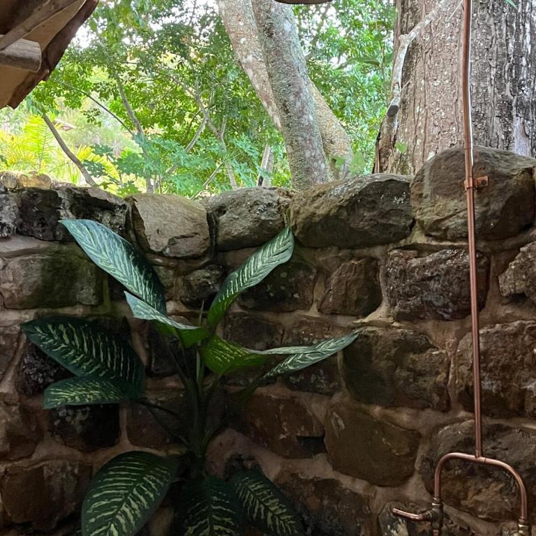 Finca Alegría cada lugar guarda un susurro de luz - Casa de 2 dormitorios - 15