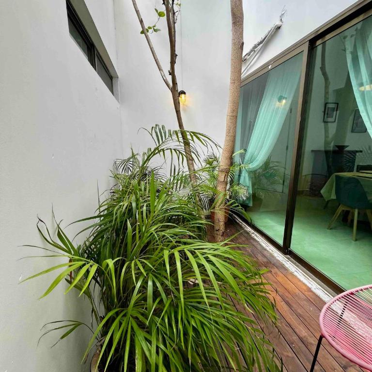 Spectacular Private House - Villa - 9