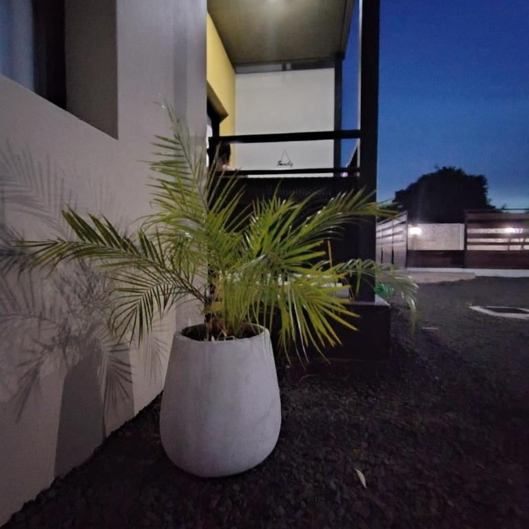 Montecarlo II Dpto C - Apartamento Deluxe de 1 dormitorio con vistas al jardín - 41
