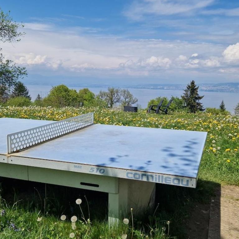 2-room apartment with breathtaking views of Lake Geneva - Appartement 1 Chambre - 19