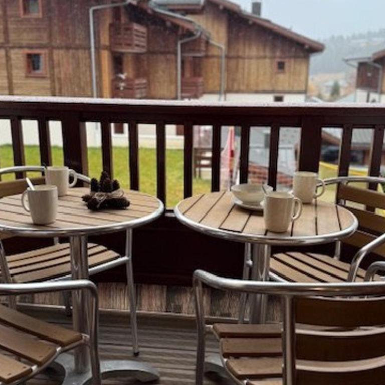 Confort et détente : App. 3 pièces Les Saisies 6 pers. - Appartement 2 Chambres - 14