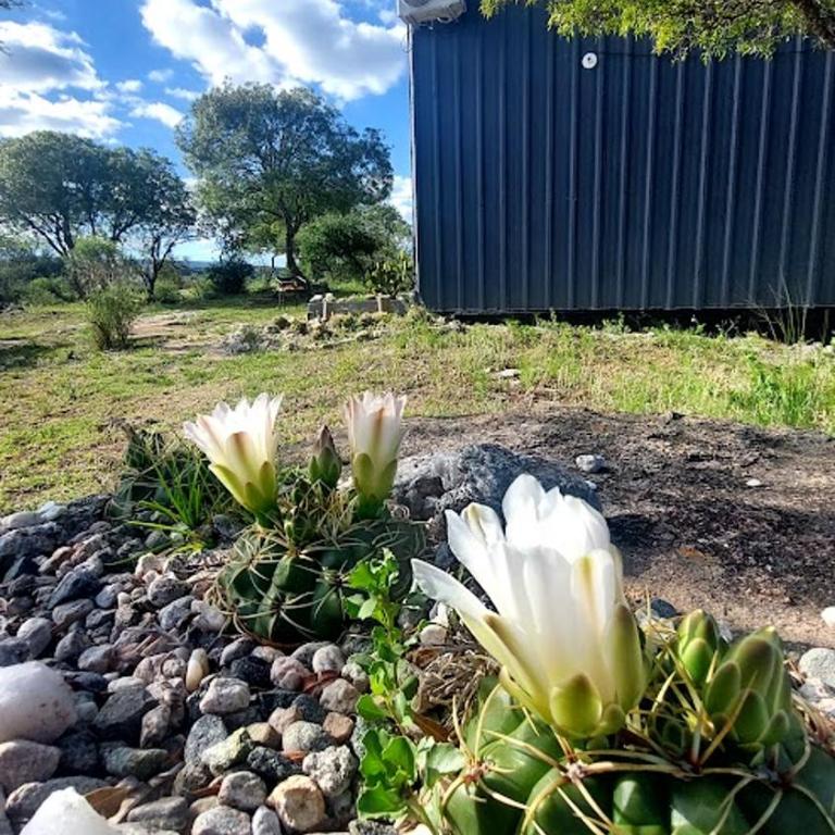 La Loma del Valle - Chalet de 2 dormitorios - 26