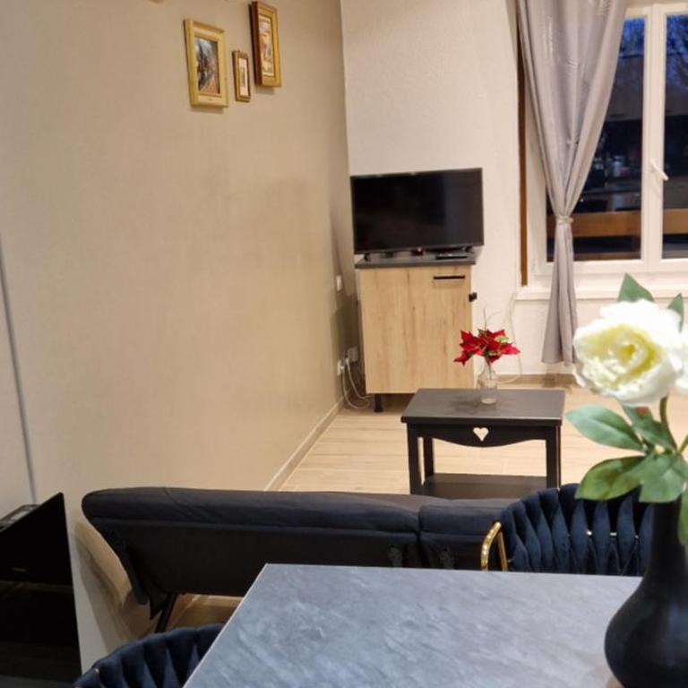 Chic & Design Studio for 3 people - Appartement 1 Chambre - 1