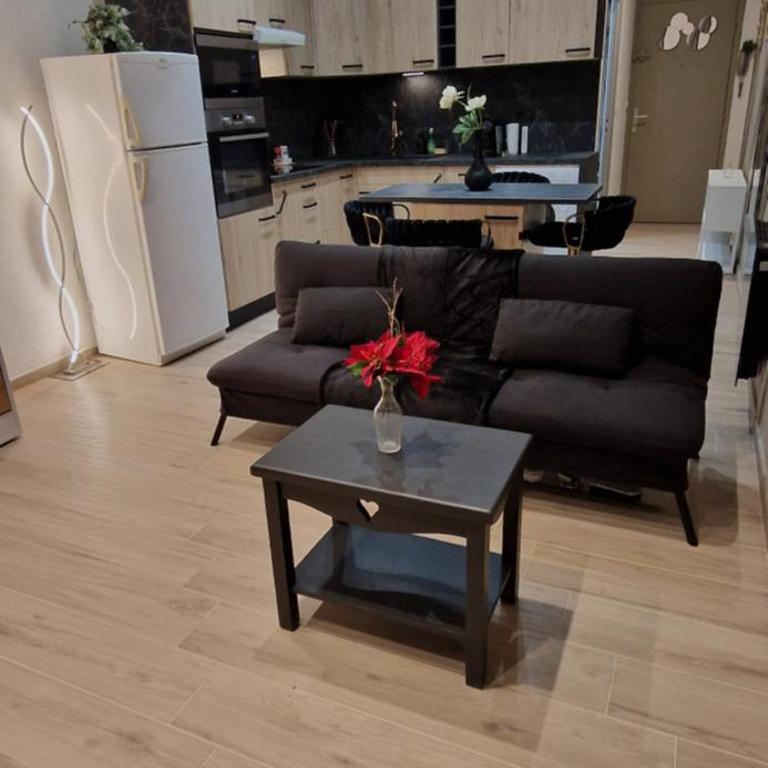 Chic & Design Studio for 3 people - Appartement 1 Chambre - 3