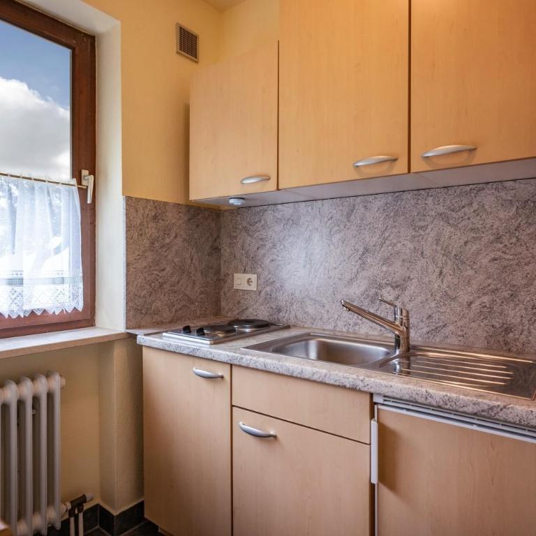 Ferienwohnanlage-Oberaudorf F 2mit Sauna - Apartment - 6