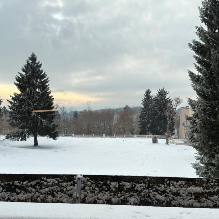Luna & Stella Apartments, Sankt Englmar - Apartment mit 1 Schlafzimmer und Aussicht - 16