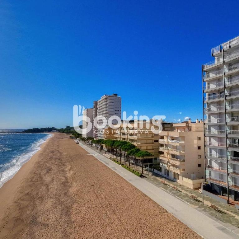 Nuevo Sol - Apartamento - 19