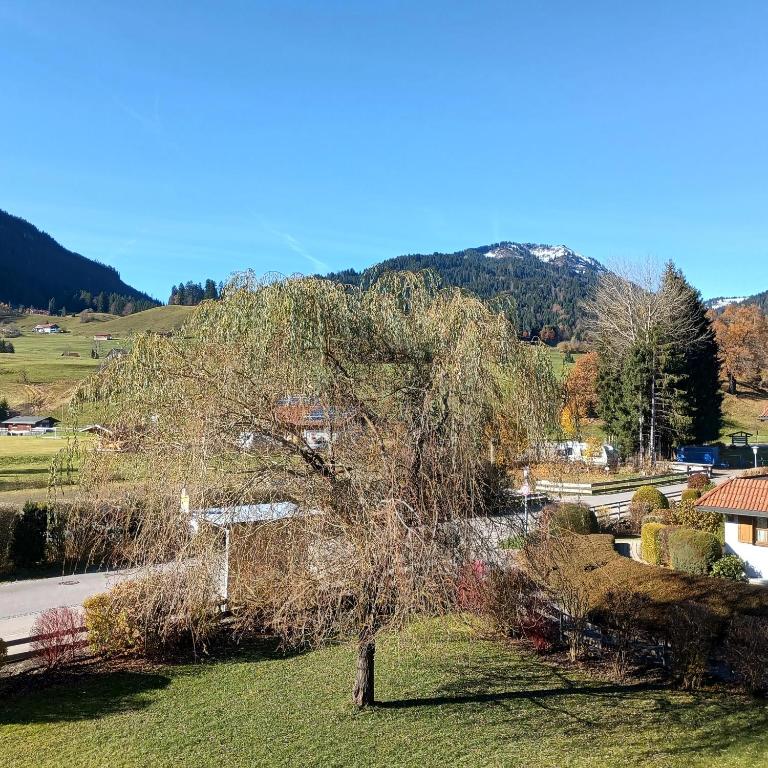 Haus Alpenland/Schneider - Appartamento con 2 Camere da Letto - 2