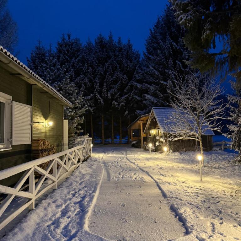 Traumhafte Wohnung auf Pferde Ranch - Appartamento con 1 Camera da Letto - 14