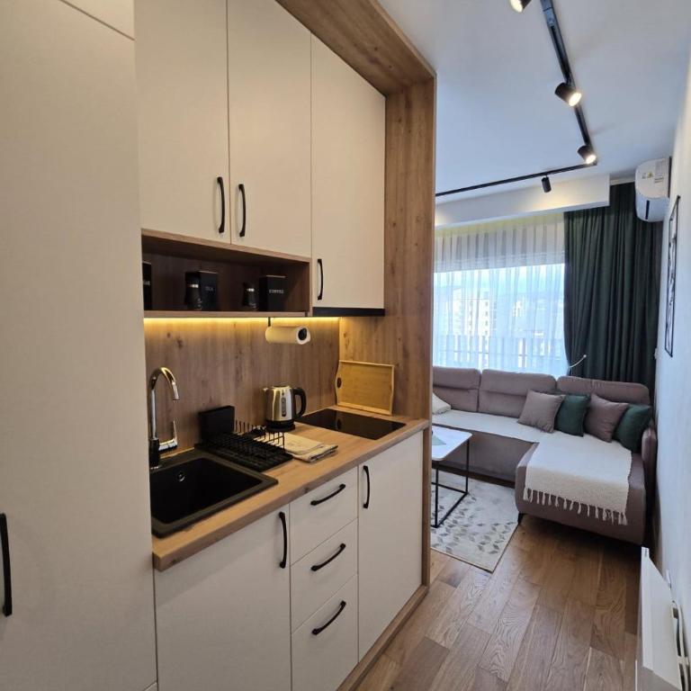 Apartmani Balkan Square - Studio Apartment with Balcony - 2