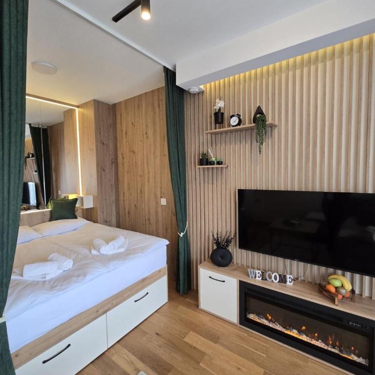 Apartmani Balkan Square - Studio Apartment with Balcony - 5