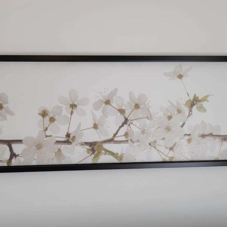 Elegante appartamento ristrutturato a pochi passi dal mare e dal centro - Appartement 1 Chambre - 23