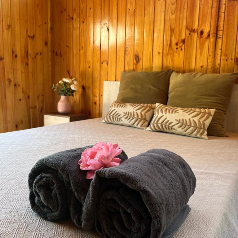 Cabaña cajón del maipo chercán - One-Bedroom House - 9