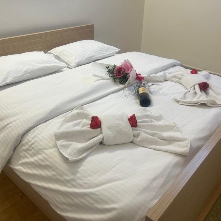 Guest house Vila Bor - Large Single Room - 2