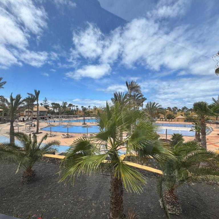 Oasis Papagayo Relax - Apartamento de 1 dormitorio - 1