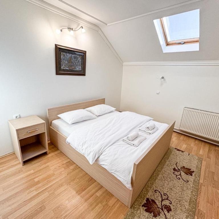Guest house Vila Bor - Large Single Room - 3