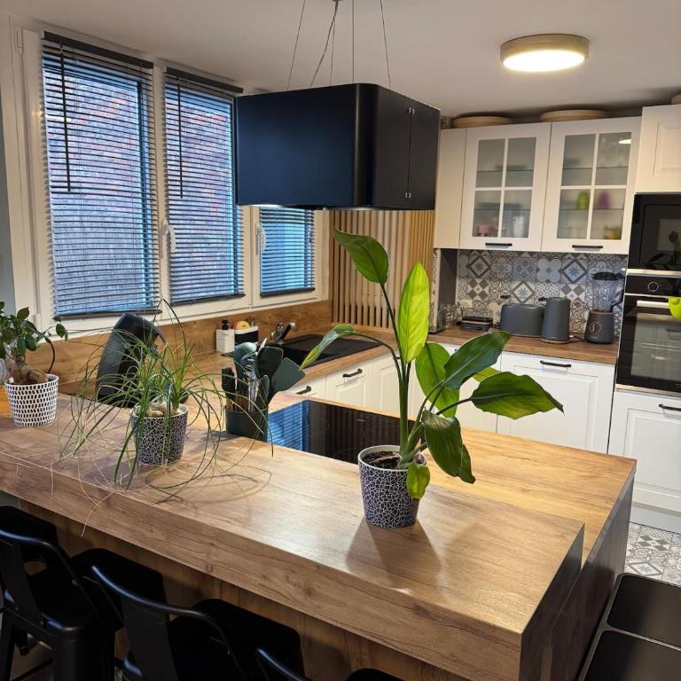 Loft Opale - Appartement 1 Chambre - 3