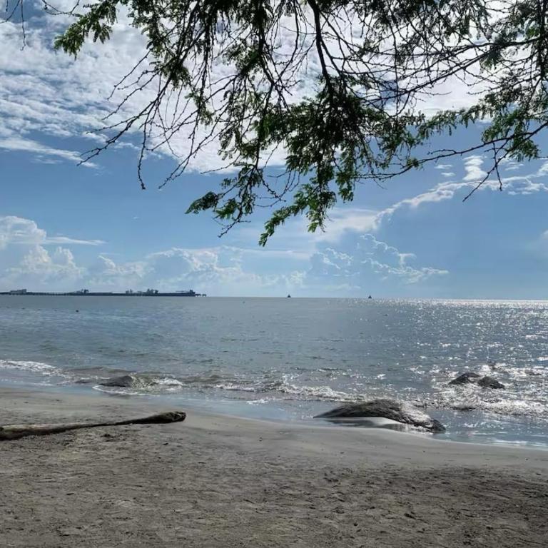 New luxury studio apartment with ocean view, Santa Marta - One-Bedroom Apartment with Balcony - 48