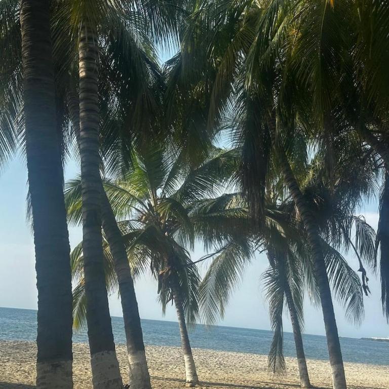 New luxury studio apartment with ocean view, Santa Marta - One-Bedroom Apartment with Balcony - 51