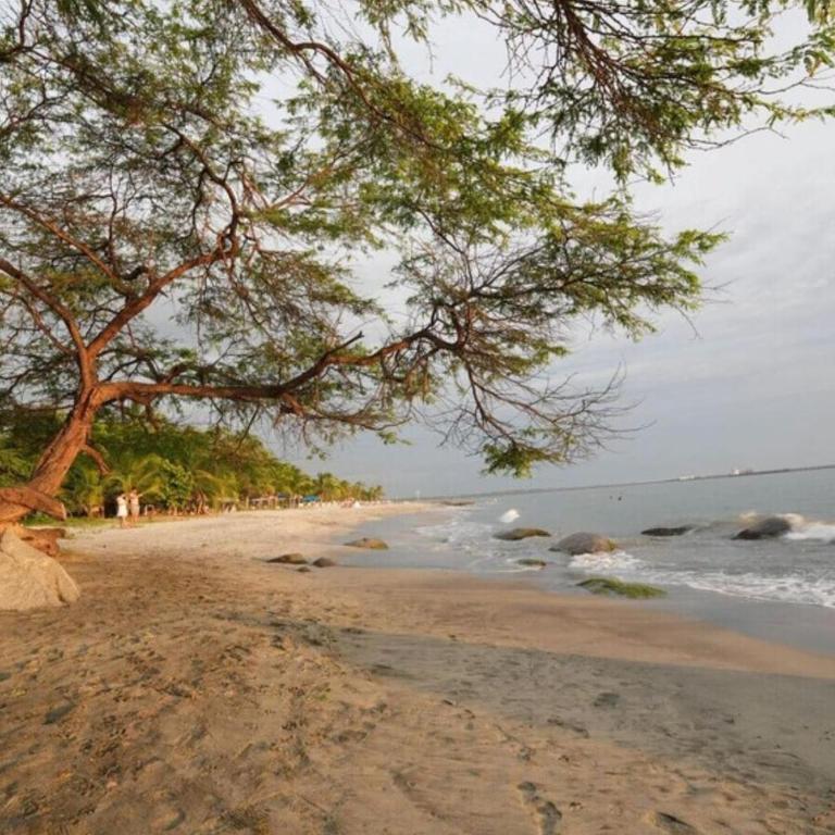 New luxury studio apartment with ocean view, Santa Marta - One-Bedroom Apartment with Balcony - 47