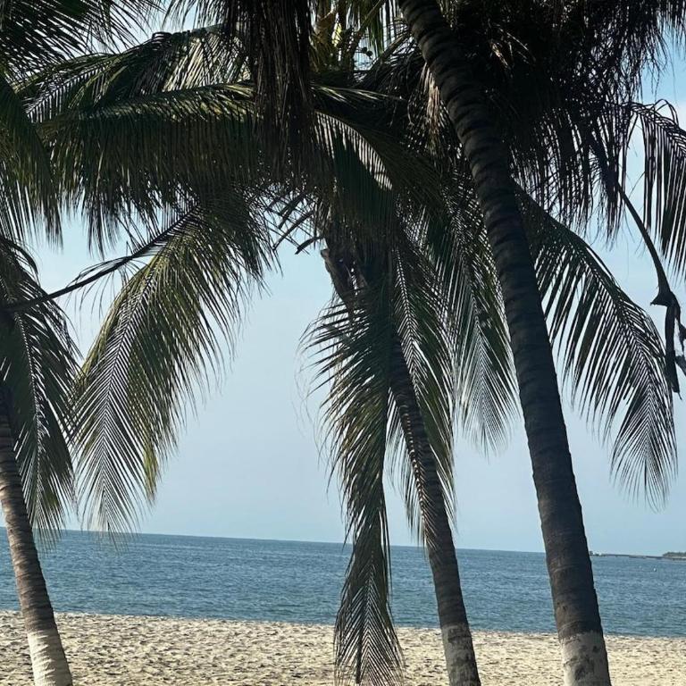 New luxury studio apartment with ocean view, Santa Marta - One-Bedroom Apartment with Balcony - 52