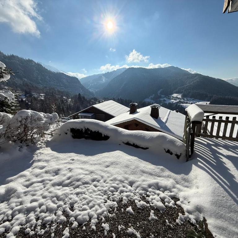 Chalet La Piste Noire - Chalet 3 Chambres - 34