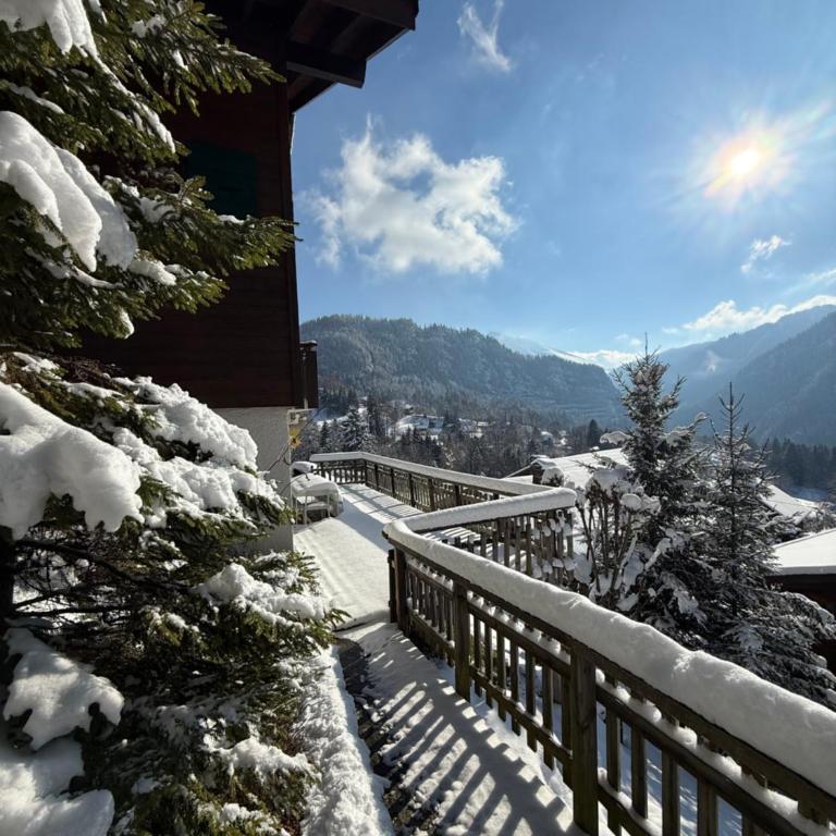 Chalet La Piste Noire - Chalet 3 Chambres - 33