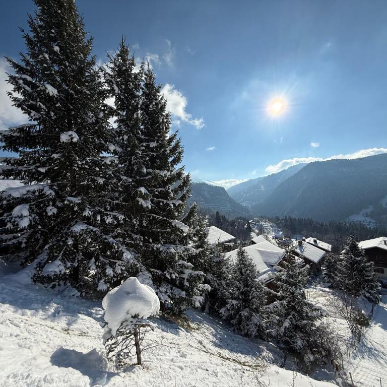Chalet La Piste Noire - Chalet 3 Chambres - 32