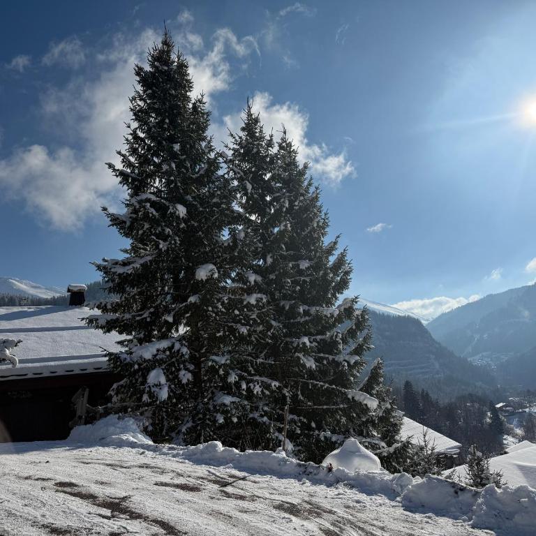 Chalet La Piste Noire - Chalet 3 Chambres - 1
