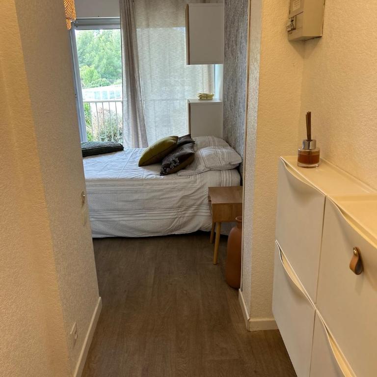 studio de la lagune piscine parking - Appartement 1 Chambre - 8