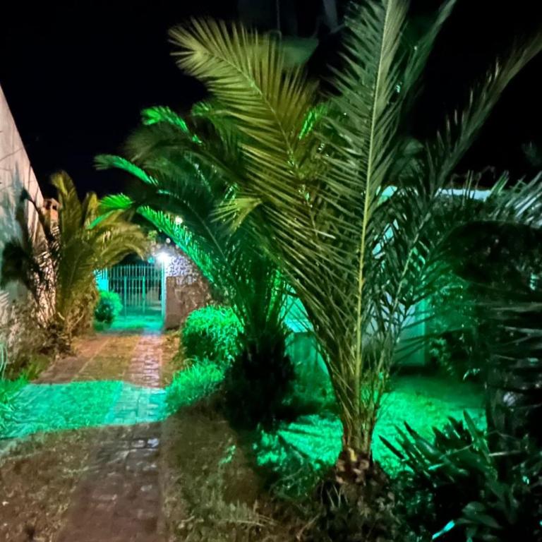 La Clementina 2 - Casa de 2 dormitorios - 22