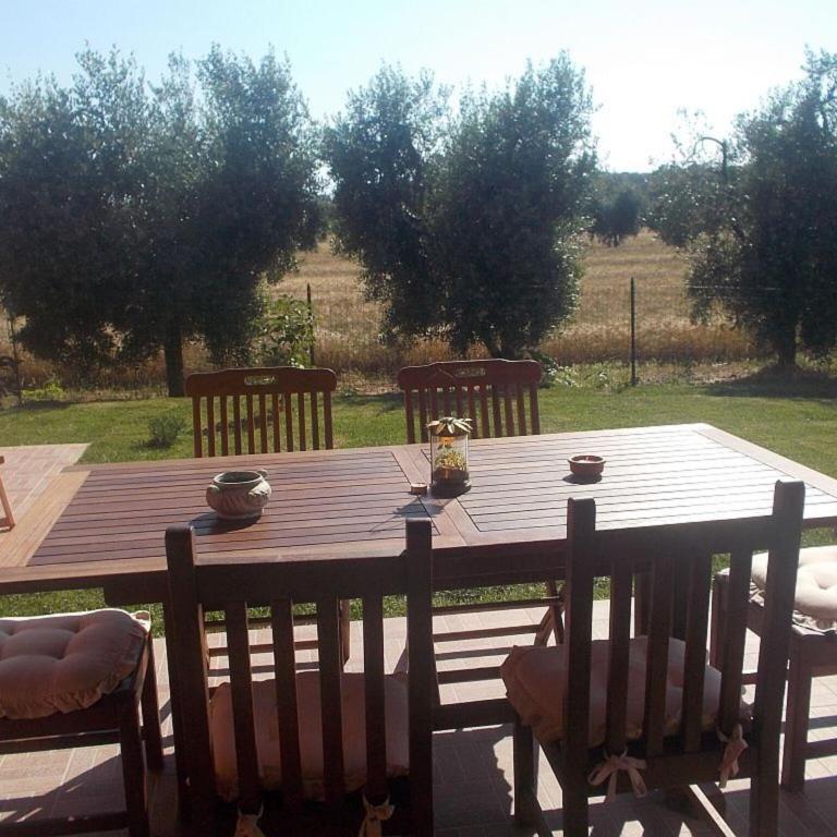 Appartamento Girasole Seaside and Pool - Appartamento - 4