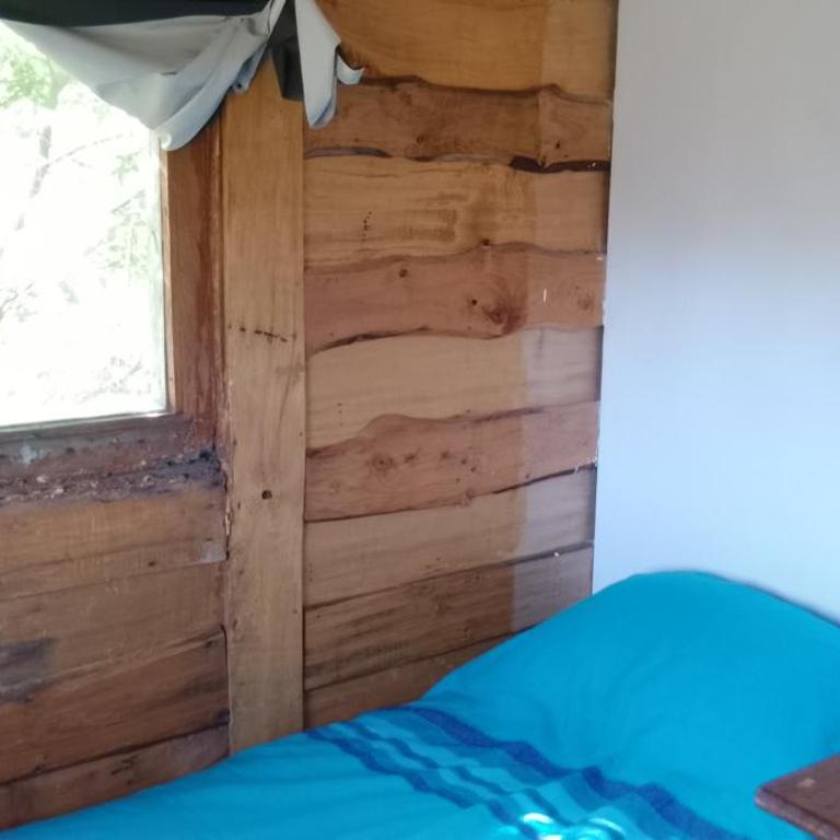 Casa Ecológica Rama & Cabañas Rústicas - Casa - 6