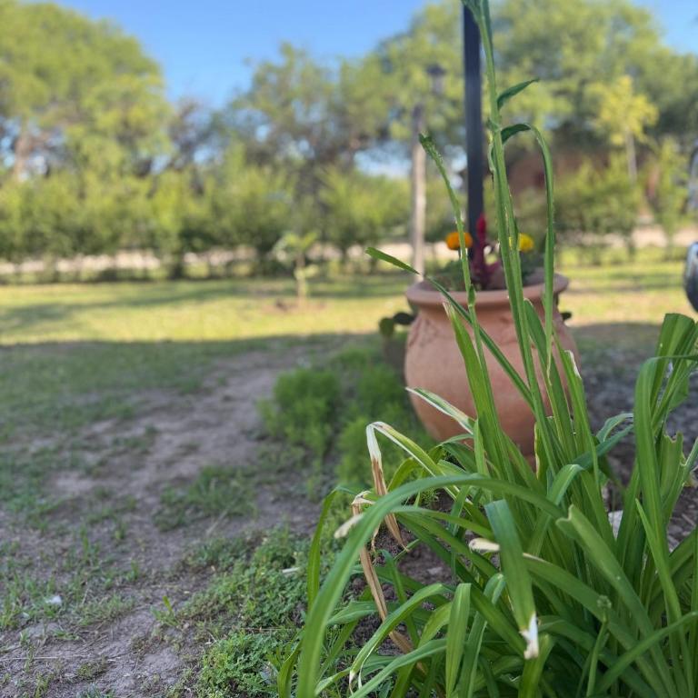 SuiteMilSueños - Apartamento de 1 dormitorio - 2