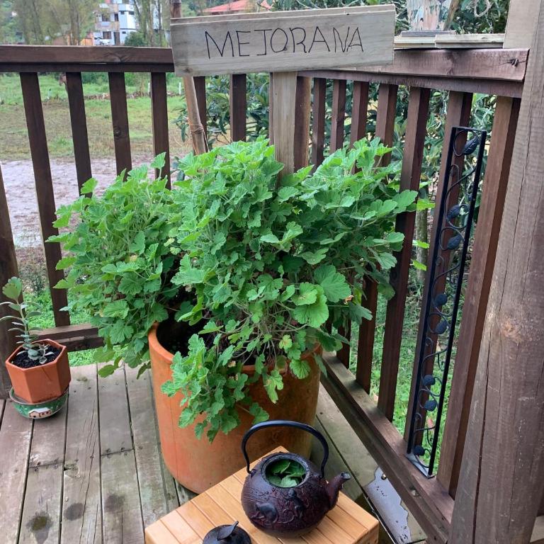 Cabaña de lujo con silla montura, Caballo Dorado - Chalet de 1 dormitorio - 17