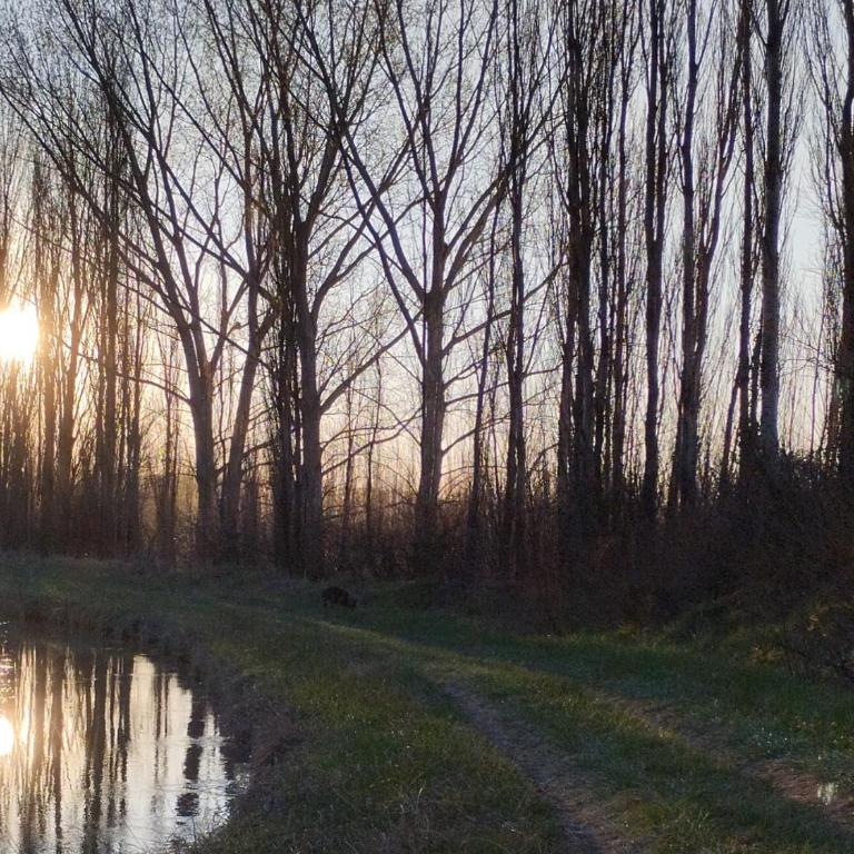 La Chacrita de Río Colorado - Apartamento de 1 dormitorio - 2