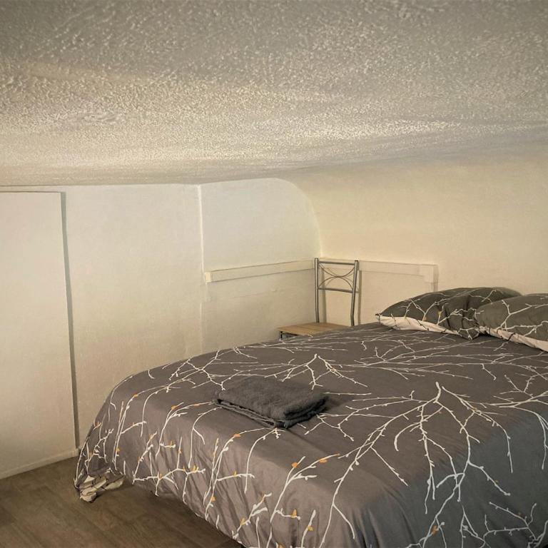 Appartement triple dans le centre de Limoges - Appartement 1 Chambre - 9