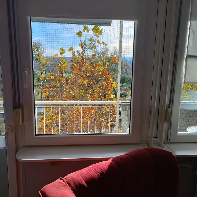 Apartman Kodame - Limanski park - Apartman sa 1 Spavaćom Sobom - 18