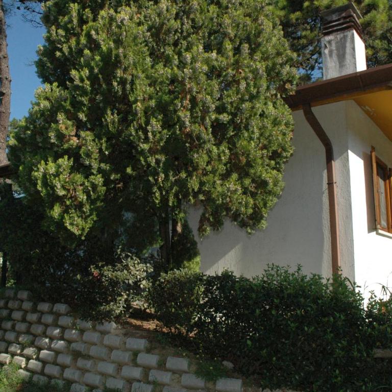 Villa Usignolo tipo D1 - Casa con 3 Camere da Letto - 2