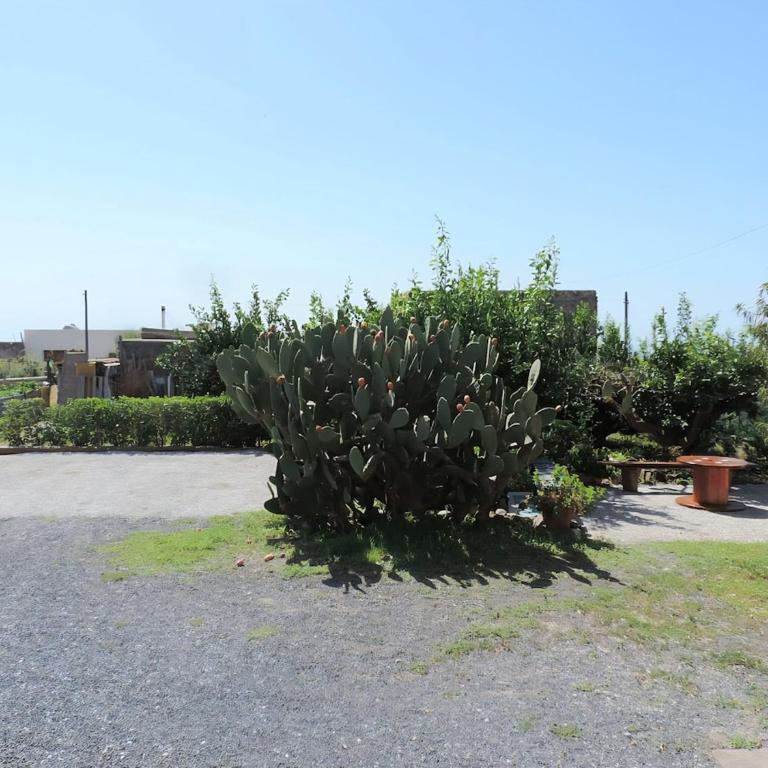 Casa Filicudi - Appartamento con 1 Camera da Letto - 23