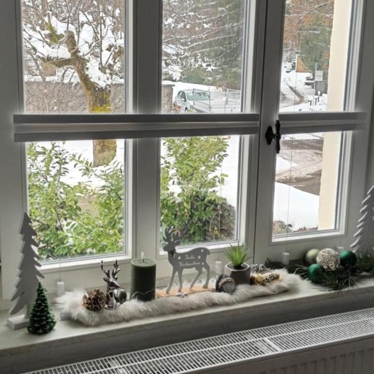 renovierte Altbauwohnung im Oberallgäu - Apartment mit Gartenblick - 7